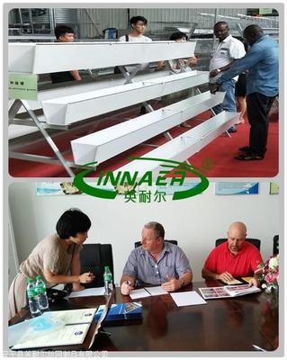 現代化草莓種植新篇章 大棚種植槽、立體栽培架及其進出口服務全解析